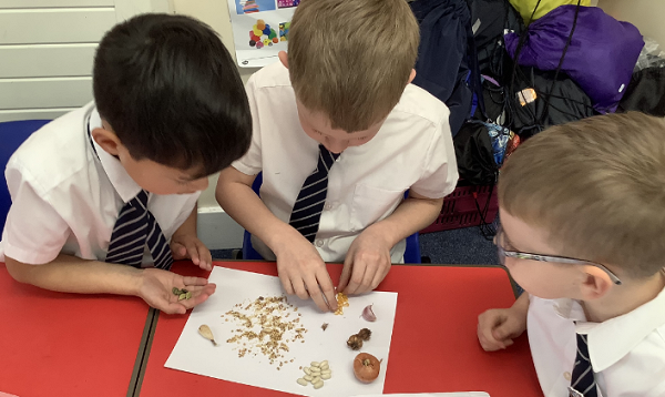 Science KS1